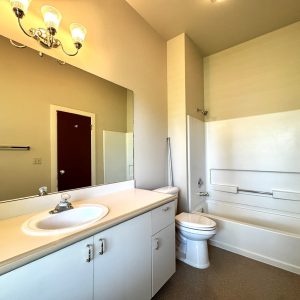 Bathroom with one sink, toilet, full tub and shower